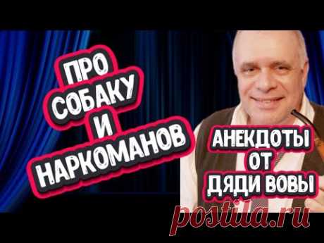 Анекдот про уникальную собаку. Анекдоты от дяди Вовы - это смех, юмор и позитив!