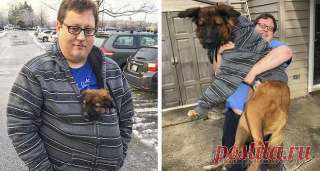 Хотели собаку, а получили гиганта, размером с лошадь Собака — лучший друг человека. Она никогда не обидит хозяина и всегда будет радовать его своей преданностью. Именно поэтому многие хотят завести себе миленького щеночка, чтобы тот приносил в жизни немного радости и счастья.

Однако иногда ситуация выходит из под контроля. Ведь угадать, до каких ра