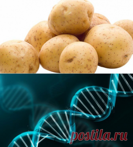 Совершенно секретно - Тайны