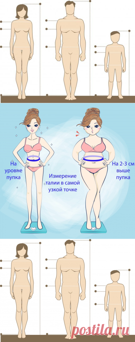 Простой способ проверить, в норме ли ваш вес