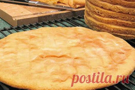 КАК БЫСТРО ПРИГОТОВИТЬ КОРЖИ ДЛЯ ТОРТА | Краше Всех