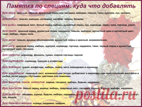 Гид по специям: учимся правильно применять - Blog