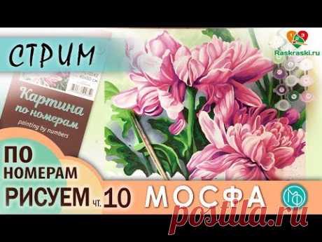Раскрашиваем картину по номерам МОСФА &quot;Астры&quot; 10 ЧАСТЬ в прямом эфире! Рисовать просто! Раскраски