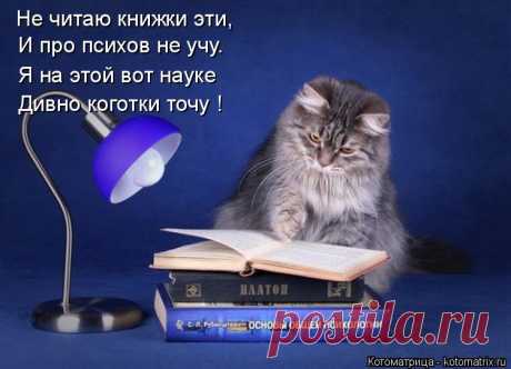 Свежая котоматрица