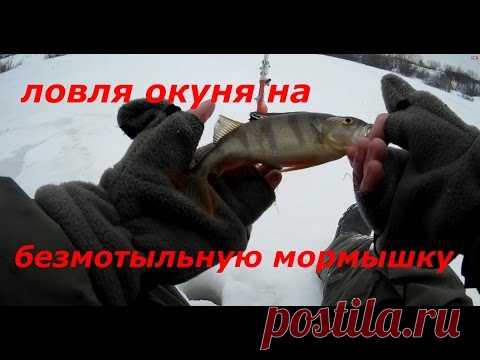 Ловля окуня на безмотыльную мормышу (безмотылку). - видео онлайн. Сайт Новосибирских рыбаков