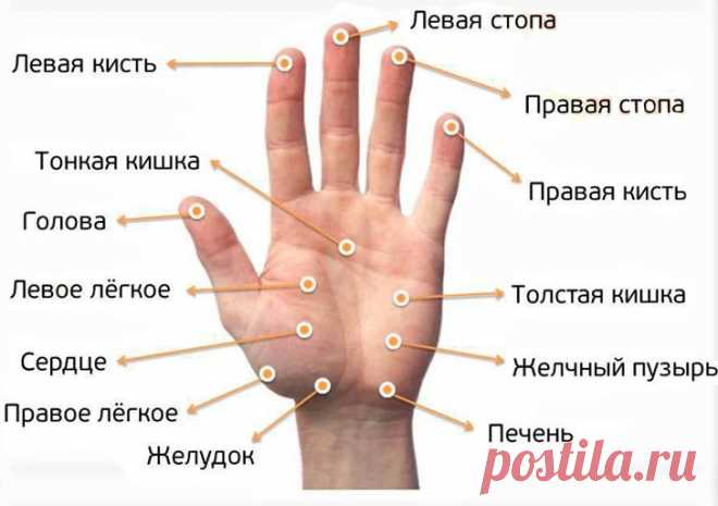(42) Наталья Михайлова