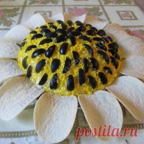 Куриный салат «Подсолнух» рецепт – русская кухня, салаты с сыром: салаты