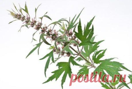 Секреты красоты и здоровья - стиль жизни