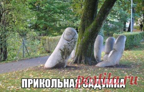 Всяко - разно 106 )))