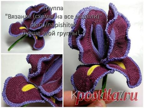 Ирис крючком: описание | Клубок