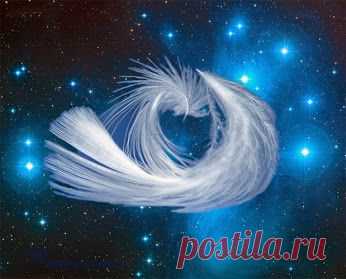 Google+