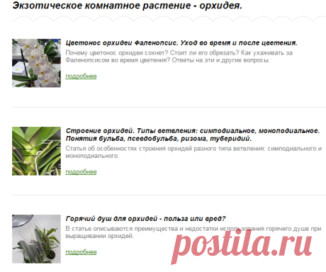 Статьи об орхидее.