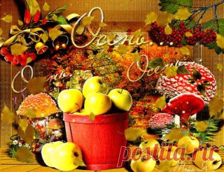 Мой Мир@Mail.Ru