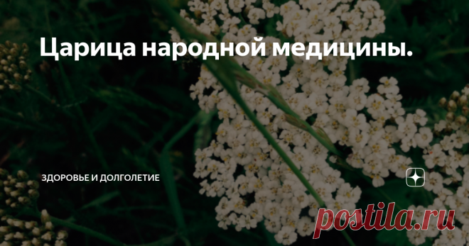 Царица народной медицины. Это растение быстро заживит раны и восстановит организм после приема химических лекарств.
Сегодня мы вам расскажем о лечебных свойствах такого растения, как пастушья сумка. В традиционной медицине первым делом ее ценят за кровоостанавливающие свойства.
Для лечения используют всю видимую часть. Это цветы, листья, стебли и зеленые плоды. Пастушья сумка обладает богатым составом. В ней вы найдете