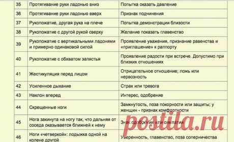 Как видеть людей насквозь (магия языка жестов) - Болтай