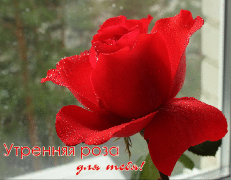 0_274bfa_f1bca2fa_orig.gif (998×778)