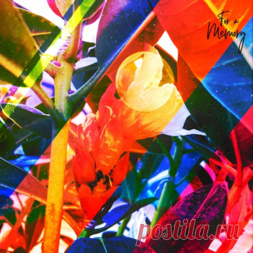 Dulus, Obbie - Crème Brûlée (Original Mix) Download Free on Musicvibez.News ,Album Daily update.