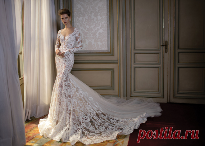 16272.jpg (3417×2439)