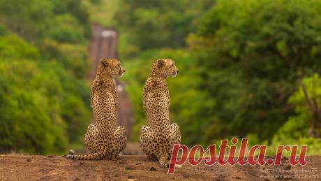 photo by Etienne Oosthuizen