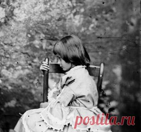Всё о женщинах