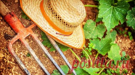 МВД Болгарии сообщило о договорённостях с протестующими фермерами о месте акции. Болгарское МВД не ожидает акции протеста фермеров в центре Софии 19 сентября в связи с достигнутыми договорённостями. Сельскохозяйственная техника будет размещена в селе Долни Богров под Софией. Читать далее