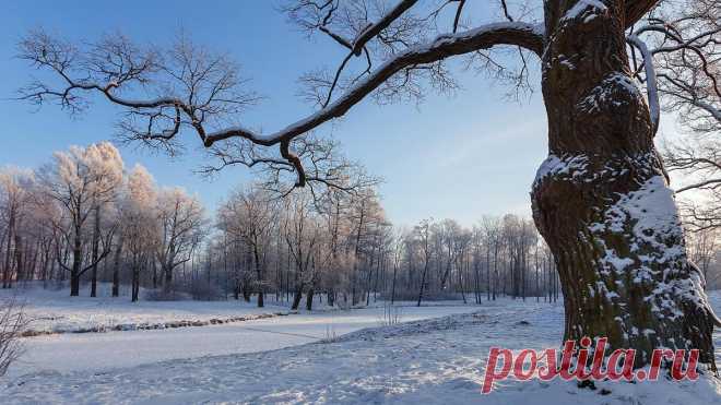 Фото от Photomonstr на Fonwall Скачайте фотографию от Photomonstr бесплатно на Fonwall