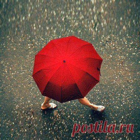 Karen приколол(а) это к доске I Wish It Would Rain