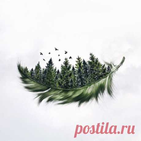Tattoo • Эскиз тату лес