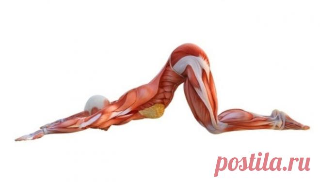 Daugiau jokių nugaros skausmų! Pajuskite pokyčius iš karto! | Zinoti.lt