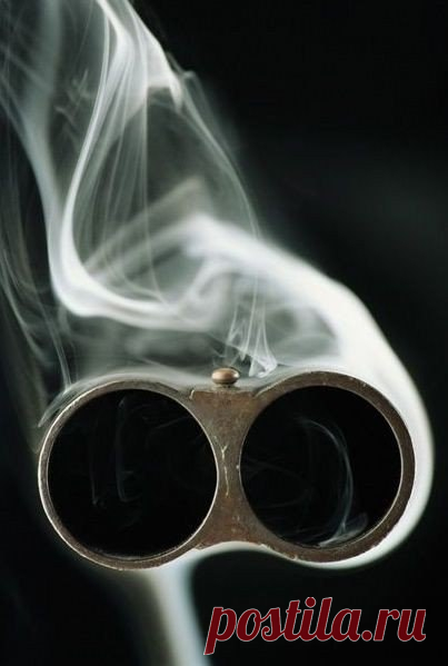 Главная деталь ружья-голова его владельца. / Богатая добыча