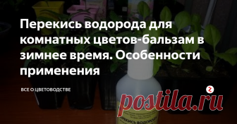 Перекись водорода для комнатных цветов-бальзам в зимнее время. Особенности применения Перекись является основным компонентом в дождевой воде, которую так любят все растения. Каждый цветовод не раз замечал, что именно после дождя, а не обычного полива, его растения и цветы начинают не только улучшать свое самочувствие, но и лучше цвести и расти.