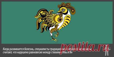 Упражнение «Золотой петух стоит на одной ноге» - Форум