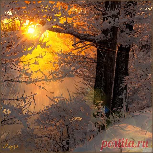 Արթո’ւն կացեք, հաստատո’ւն մնացե’ք հավատի մեջ, քա’ջ եղեք, զորացե’ք: Ձեր ամեն ինչը սիրով թող լինի։
Ա. Կորնթ. 13-14
Բարի՜ լույս, օրհնյալ, ԽԱՂԱՂ և անփորձանք օր ամենքիս ✝🙏🇦🇲🕊