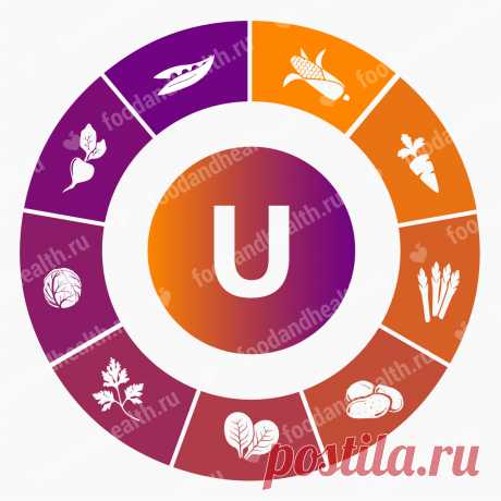 Витамин U В каких продуктах содержится витамин U (метилметионин) и для чего нужен организму человека? Профилактическое и лечебное применение: показания и противопоказания.