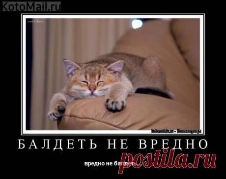 Балдеть не вредно