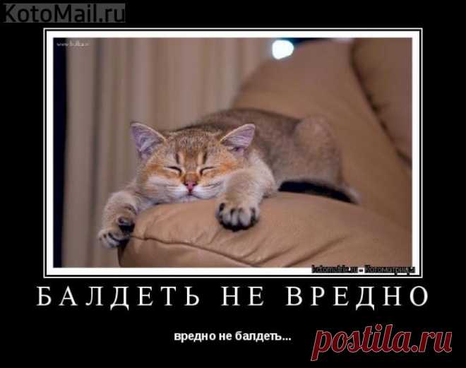 Балдеть не вредно