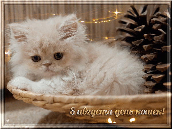 Поздравляю со Всемирным днем кошек!
Пусть мурлычат ласково и нежно,
Радостно с работы вас встречают,
Спят так сладко, мирно безмятежно,
Пусть ваш дом уютом наполняют!