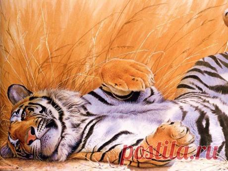 wallpapers_cats_284.jpg (1024×768)