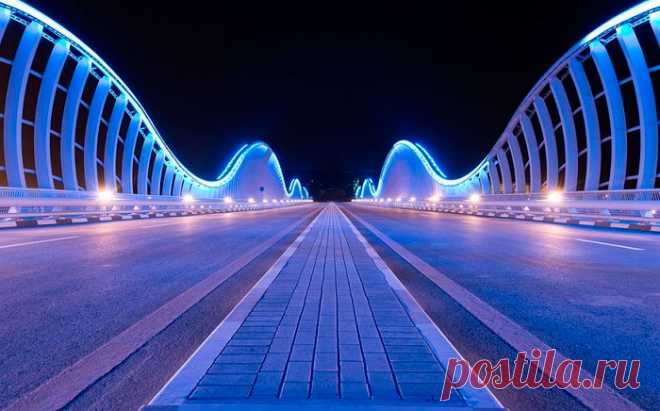 Прогуляться пешком с удовольствием: 8 самых эффектных пешеходных мостов