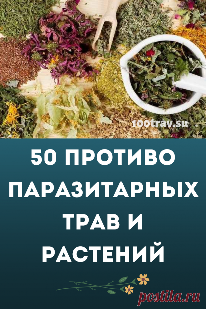 Питание человека оказывает большое влияние на здоровье. Так же оно влияет и на паразитов. Беспорядочное, смешанное и сладкое питание - идеальная среда для размножения паразитов - от вирусов до глистов. В рацион питания нужно вводить большое количество зелени, овощей, пряных трав, обладающих противопаразитарным действием.