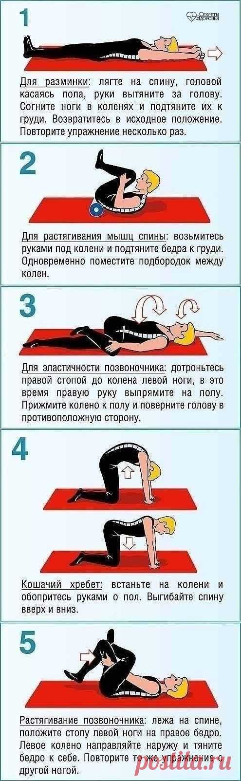 Укрепляющая тренировка для мышц спины и пресса. Выполнение 2-3 раза в неделю — отличная профилактика боли в спине, улучшение осанки и поддержка мышц пресса в тонусе.