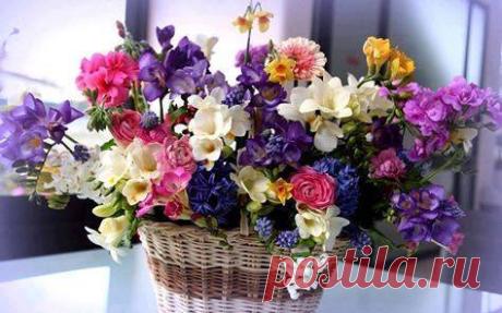 (13) Моё увлечения