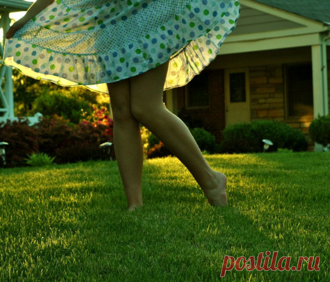 Фотопост: первый день лета | Selfhacker.ru