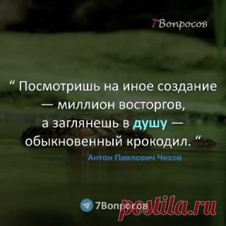 7Вопросов “ Посмотришь на иное создание — миллион восторгов, а заглянешь в душу — обыкновенный крокодил. “ © Антон Павлович Чехов