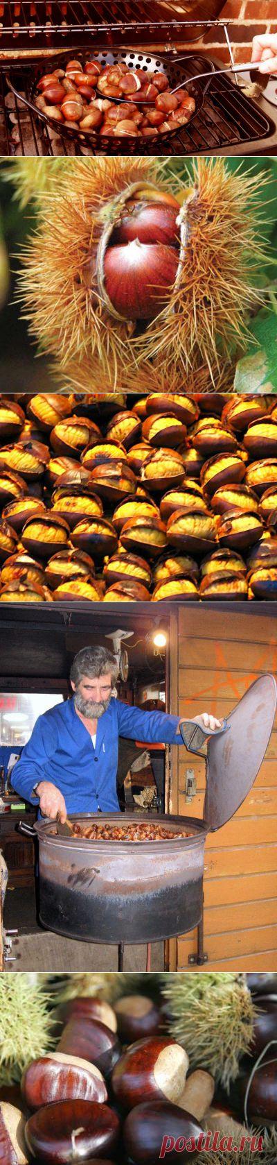 Праздник каштана в Париже!&nbsp;