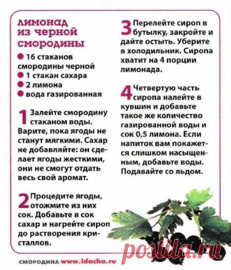 Лимонад из черной смородины