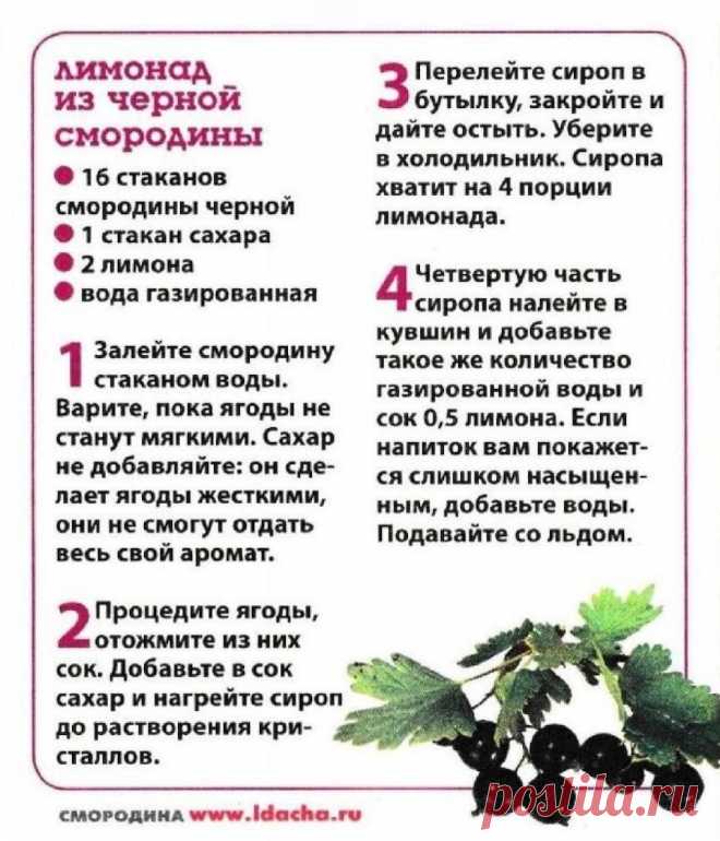 Лимонад из черной смородины