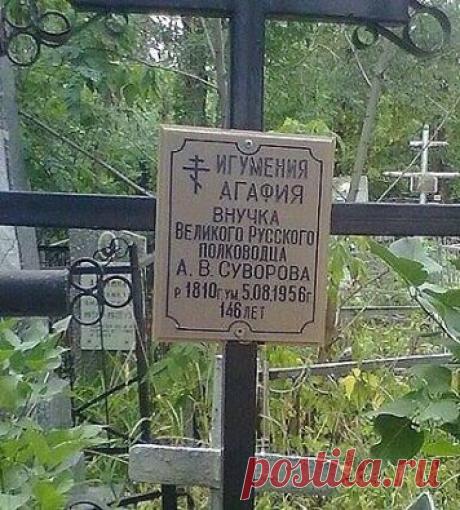 (31) Facebook