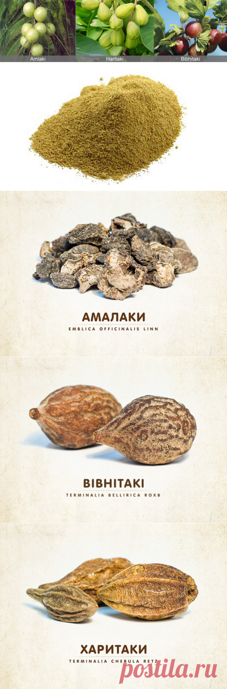 Трифала - Аюрведические препараты - Натуральные средства для здоровья - Каталог статей - Этичные Эко-товары в Казахстане