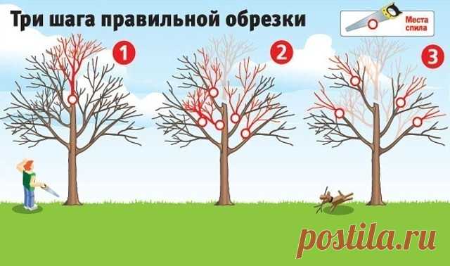 Одноклассники